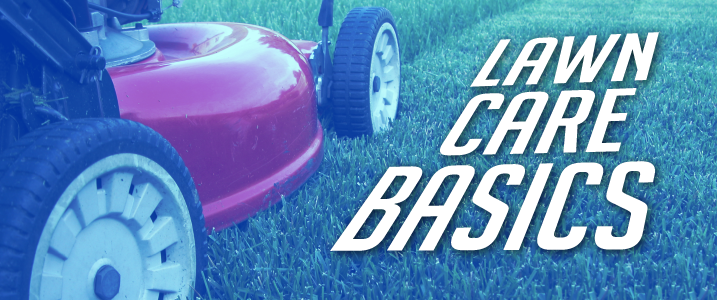 lawn mower on lawn with text lawn care basics