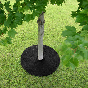 36" Rubber Tree Ring