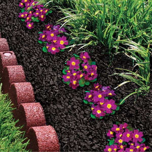 Scalloped Rubber Border