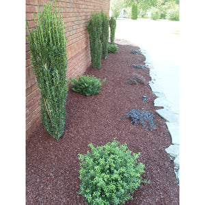 Landscape Rubber Mulch | Cocoa Brown