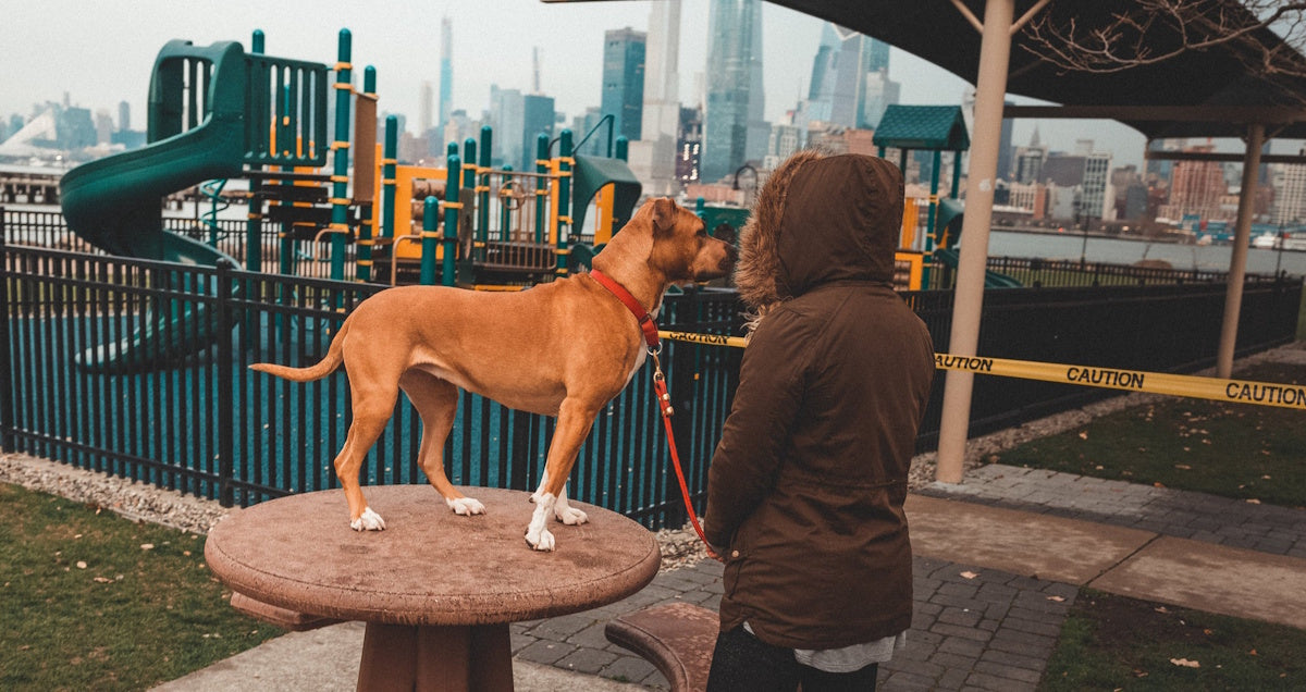 Pets like rubber mulch surfaces