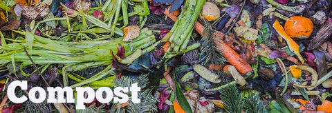 Popular Mulch Alternatives