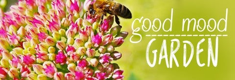 Planting a Good Mood Garden
