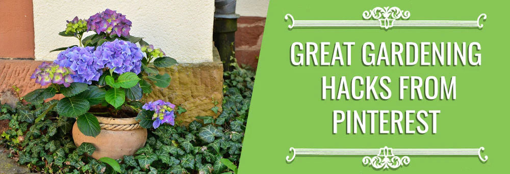 Great Gardening Hacks From Pinterest