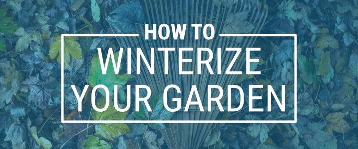 How to Winterize Your Garden