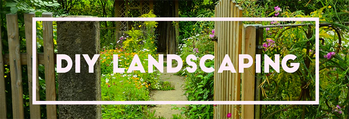 DIY Landscaping