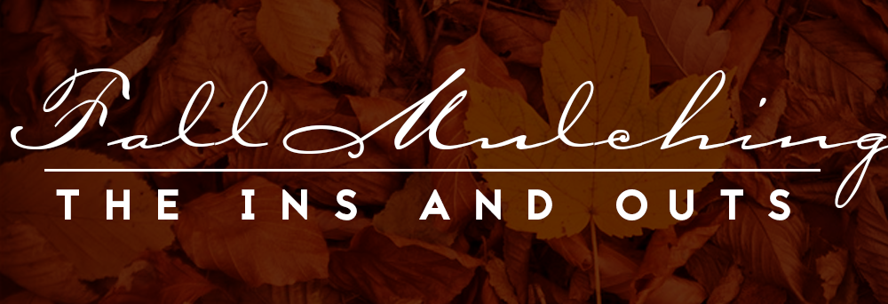 The Importance and Benefits of Fall Mulching: A Comprehensive Guide