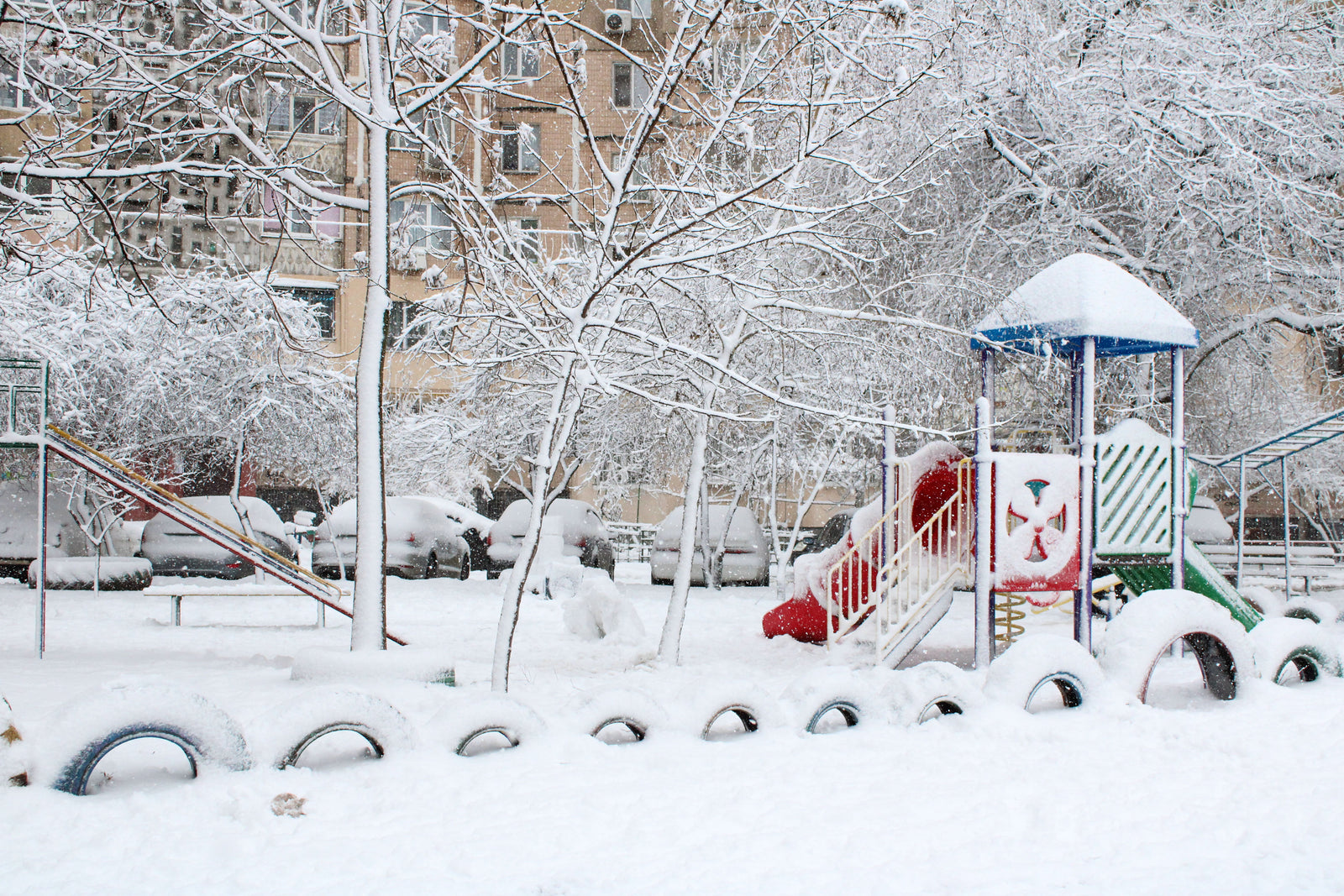 3 Tips to Help Your Plants Survive the Winter