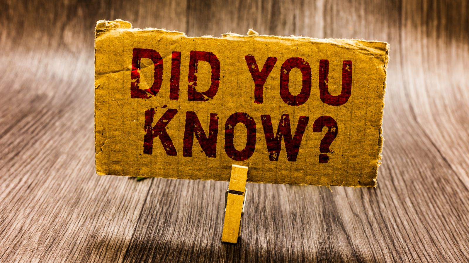 Rubber Mulch: Four Fast Facts