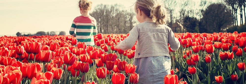 kids playing in a field of red flowers