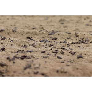 Surefoot Black (Unpainted) Playsafer® Rubber Mulch  and sand makes excellent footing for horse arenas