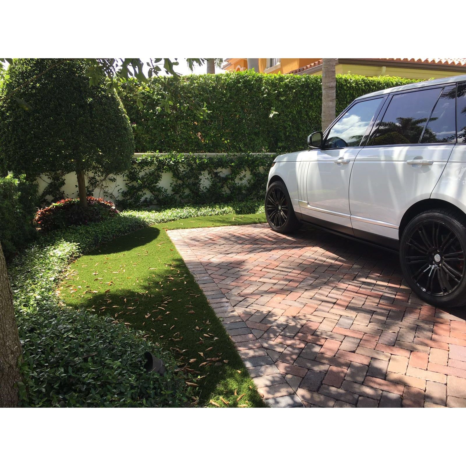 Synthetic Turf 15 x 100