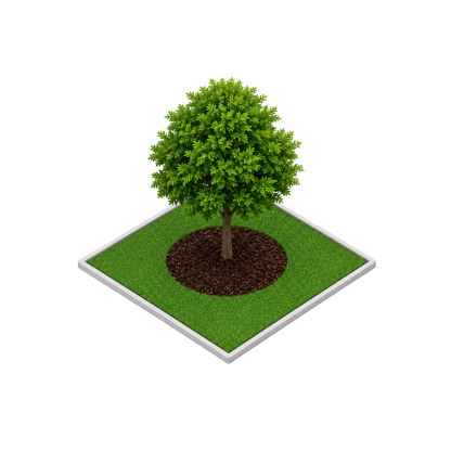 Isometric illustration of a tree ringed with rubber mulch